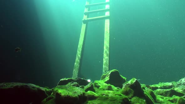 Wooden ladder in a Mexican cenote