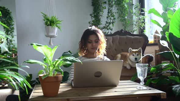 African Woman Computer Works at Home with Dog Among Plants Spbd