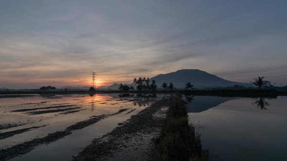 Timelapse sunset flood paddy field 