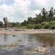 Small River in Tropic - VideoHive Item for Sale