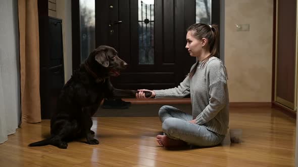 Dog training at home. A young woman asks the dog to obey the command