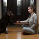 Dog training at home. A young woman asks the dog to obey the command - VideoHive Item for Sale