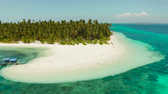 Tropical Island with Sandy Beach