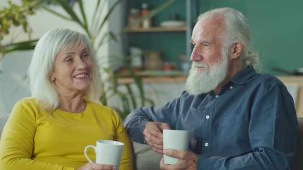 Happy Elderly Couple Relaxing at Home