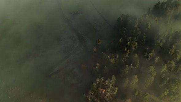 Rural European countryside with mythical mist covering landscape, aerial