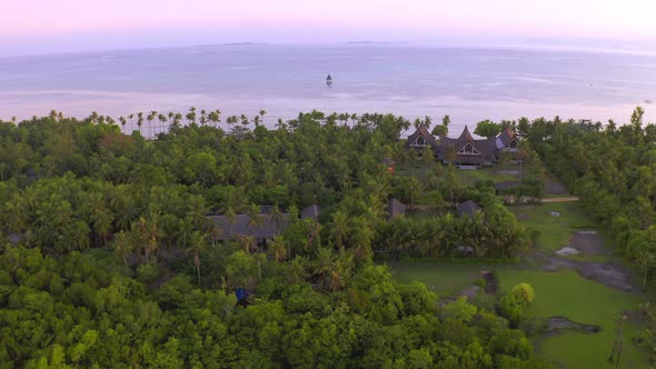 Aerial Sea View Luxury Villa with Palm Trees