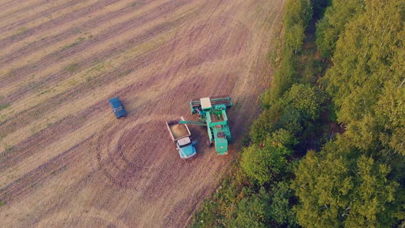 A Drone Flies Over a Field of Harvested Wheat Where the Combine Loads the Grain Into a Truck for