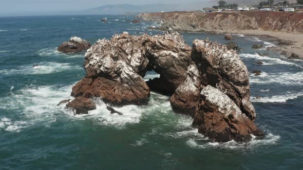 Birds sitting on Arched Rock on the ocean with waves crashing near the Beach Bodega Bay Highway 1 in