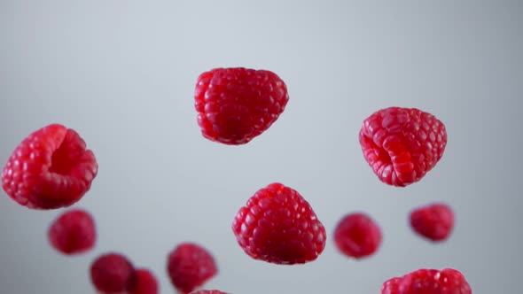 Closeup of the Delicious Raspberries Bouncing and Rotating on White Background