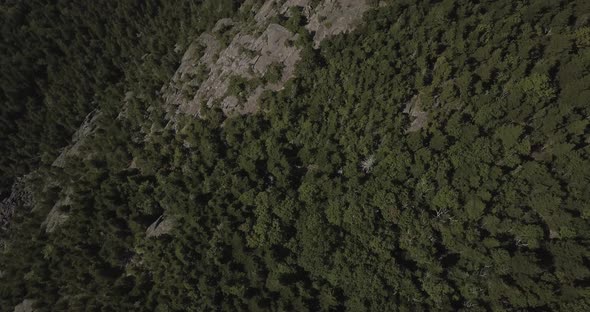 Aerial Drone Shot Flying Directly Over Mountain Cliff By Forest