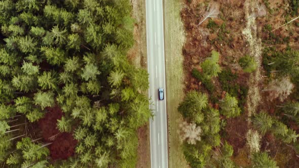 Flying by drone over a street in a forest, cars passing by the top shot view, straigh from above