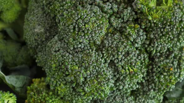 Fresh Green Broccoli Rotate