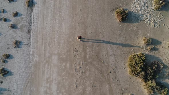 Aerial Bird's Eye View of Man Running Outdoors in Nature