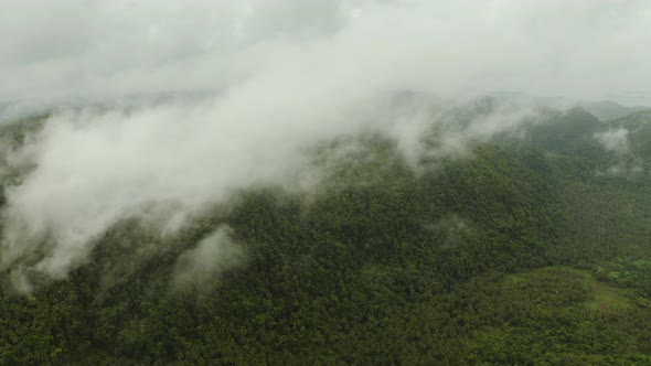 Mountains Covered with Rainforest Philippines Siargao