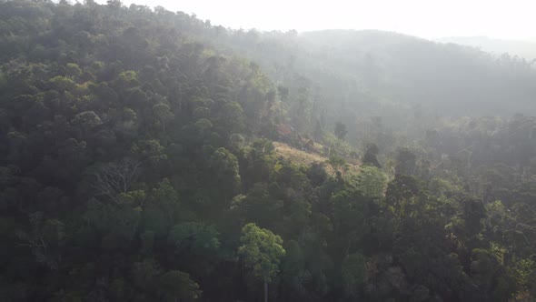 Drone view move over plantation and green forest at hill in Malaysia