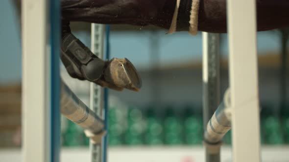 Horse leaping over obstacle, Ultra Slow Motion