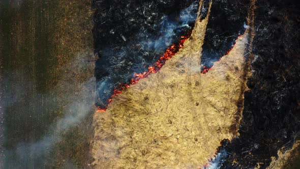 Fire in Bartinney Nature Reserve in west Cornwall Climate emergency.Flying above Wildfire.