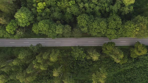 A passenger car is passing by the road through a beautiful part of a green forest, top view capture