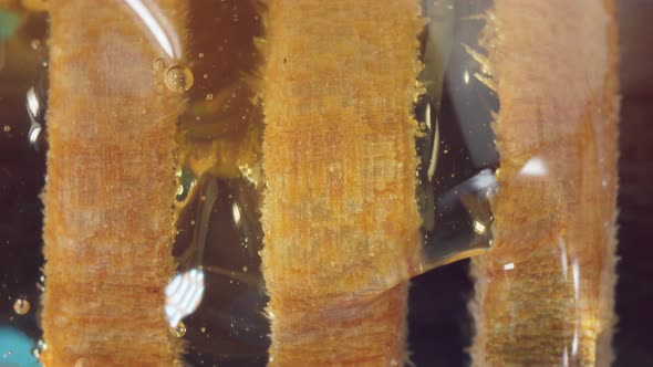 Honey Drips Closeup Macro From a Wooden Ladle