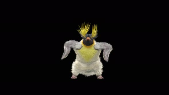 Penguin Dancing 4K