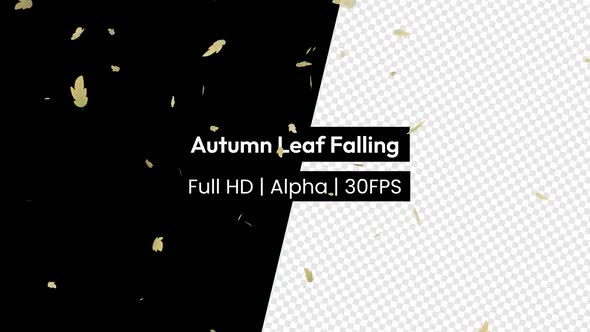 Autumn Leaf Leaves Falling with Alpha