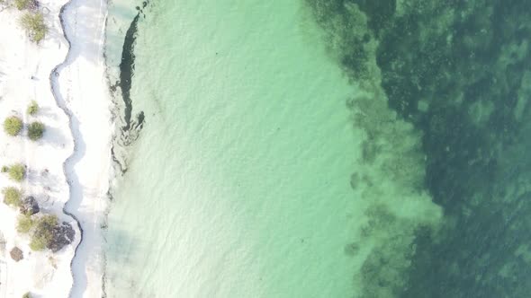 Vertical Video Empty Beach on Zanzibar Island Tanzania Aerial View