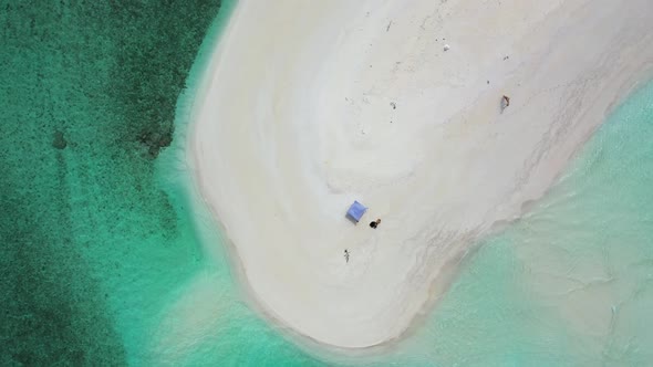 Aerial top down seascape of idyllic shore beach wildlife by blue water and white sand background of 