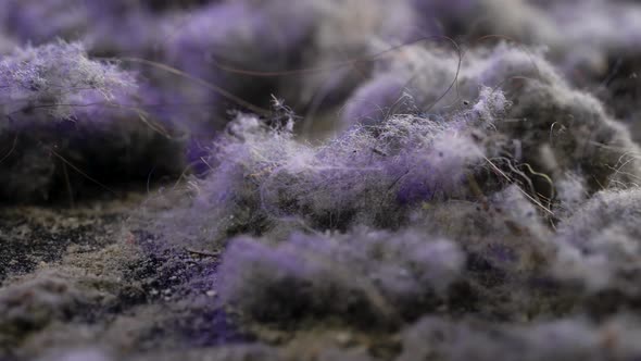 Organic and Mineral Particles and Human Hair in Heap of Domestic Dust From Vacuum Cleaner Macro Shot