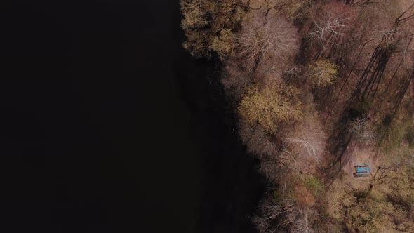 Aerial Atmospheric View of Edge of Shore with Trees and Black Water of Lake