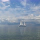 White Sail In The Sea - VideoHive Item for Sale