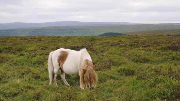 Slow pan of beautiful view over Hay Bluff with a pony