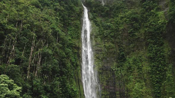 Aerial drone camera shoots water falling in a Waimoku falls, Maui, Hawaii, USA