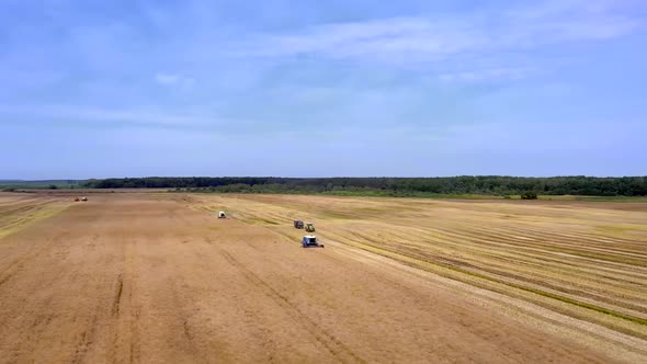 Harvesting of wheat in summer. Two harvesters working in the field