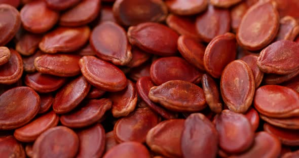 dry red melon seed for lunar new year