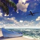 Airplane Flies Over an Island - VideoHive Item for Sale