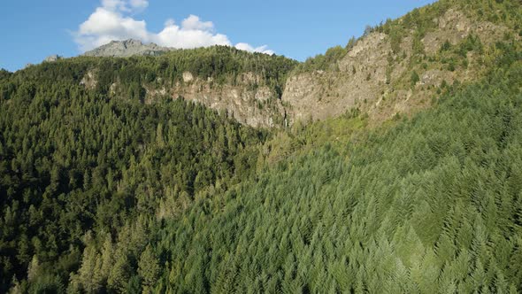 Aerial dolly in above a cypress woodland and Corbata Blanca waterfall hiding between mountains, Pata