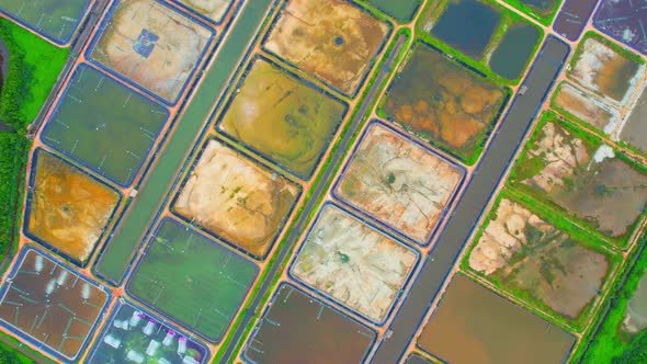 An aerial view over a drone flying over a large shrimp farm