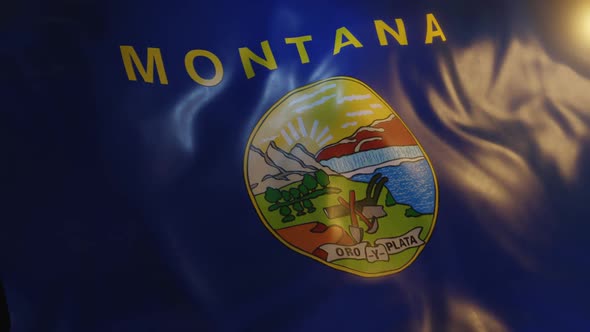 Montana State Flag