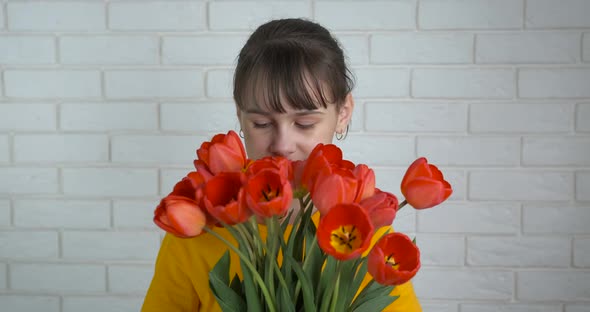 Aroma of tulips in hands.