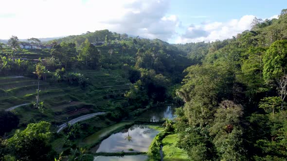 Drone flight over green hills canyon, rice terrace