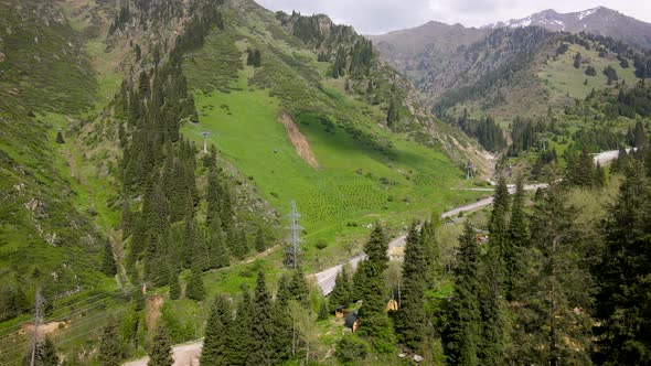 Aerial Forest Spruce in the Mountain of Almaty