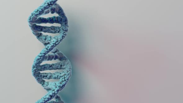 DNA Strand Double Helix  alt