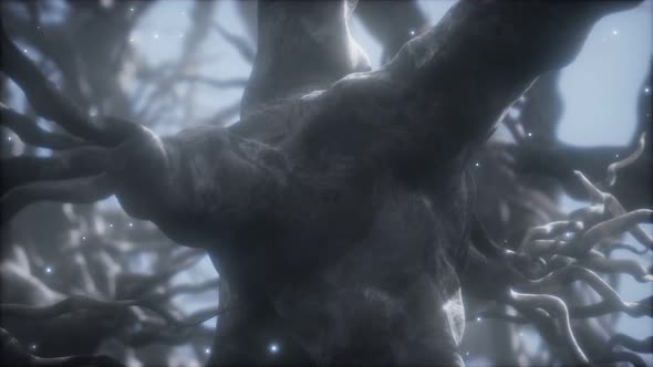 Journey Through a Neuron Cell Network Inside the Brain alt