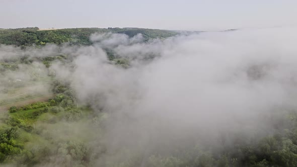 Aerial Drone View on Forest Covered with Haze