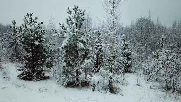 Winter River In The Village Of Verkhovye 12