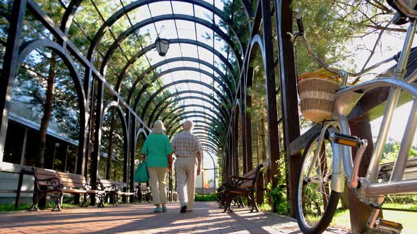 Senior Couple Walking Along Alley