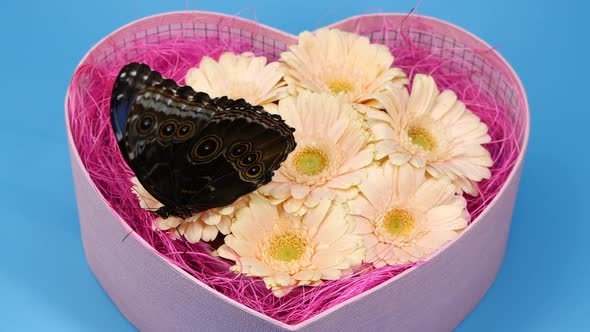 Blue Butterfly on Pink Color Flower in Heart Shape Box Valentines Day Design