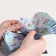Woman Counting Cash Romanian Currency Lei Ron - VideoHive Item for Sale