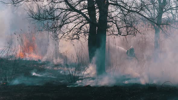 Firefighters in Equipment Extinguish Forest Fire with Fire Hose. Slow Motion