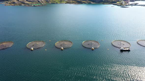 Farm Salmon Fishing in Norway